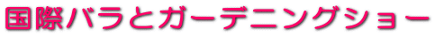 ۃoƃK[fjOV[